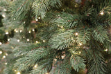 7.5' Dual-Lit Prospect Pine Christmas Tree