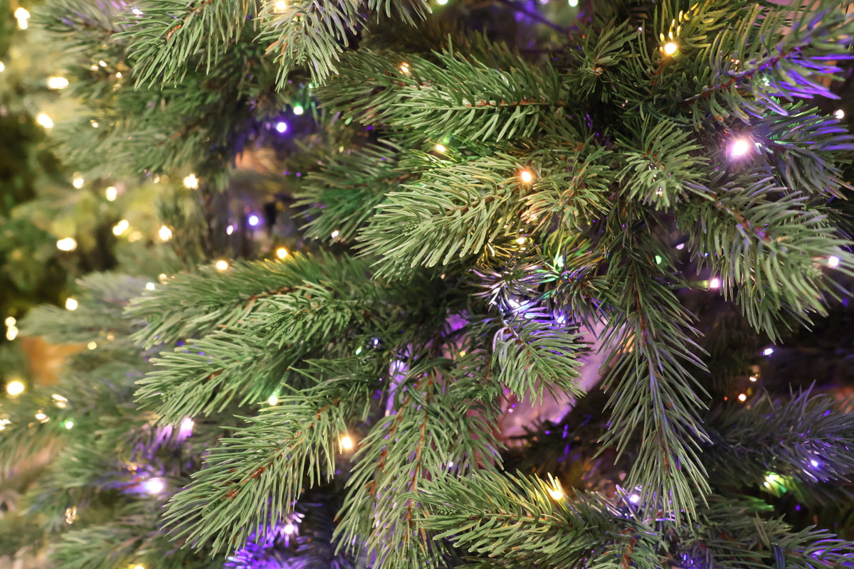 7.5' Dual-Lit Prospect Pine Christmas Tree