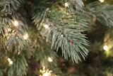 7.5' Dual-Lit Prospect Pine Christmas Tree