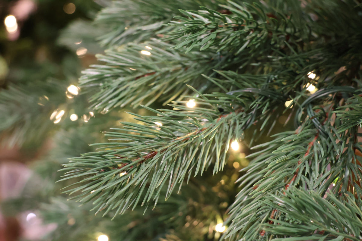 7.5' Dual-Lit Prospect Pine Christmas Tree