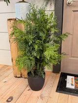 36" Churchill Cypress Tree