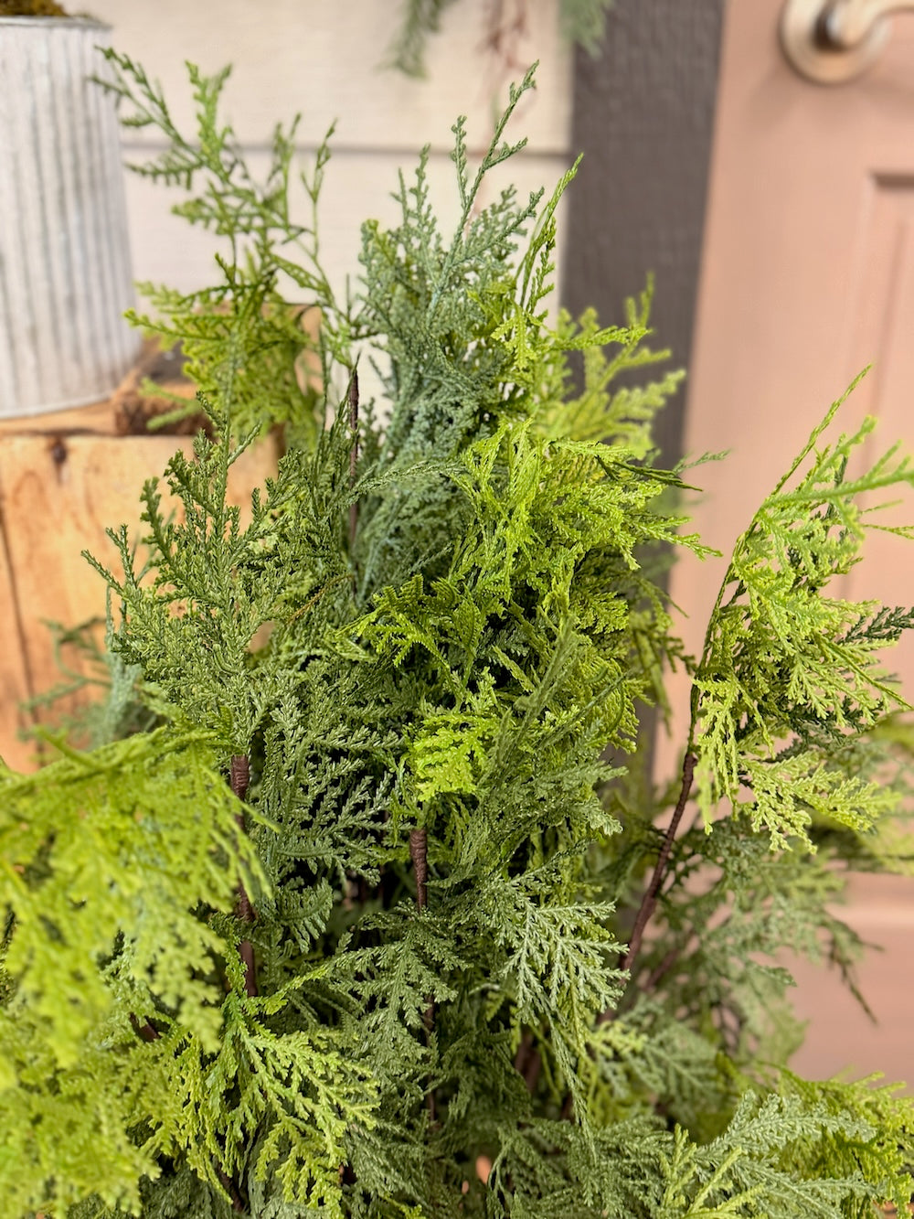 36" Churchill Cypress Tree