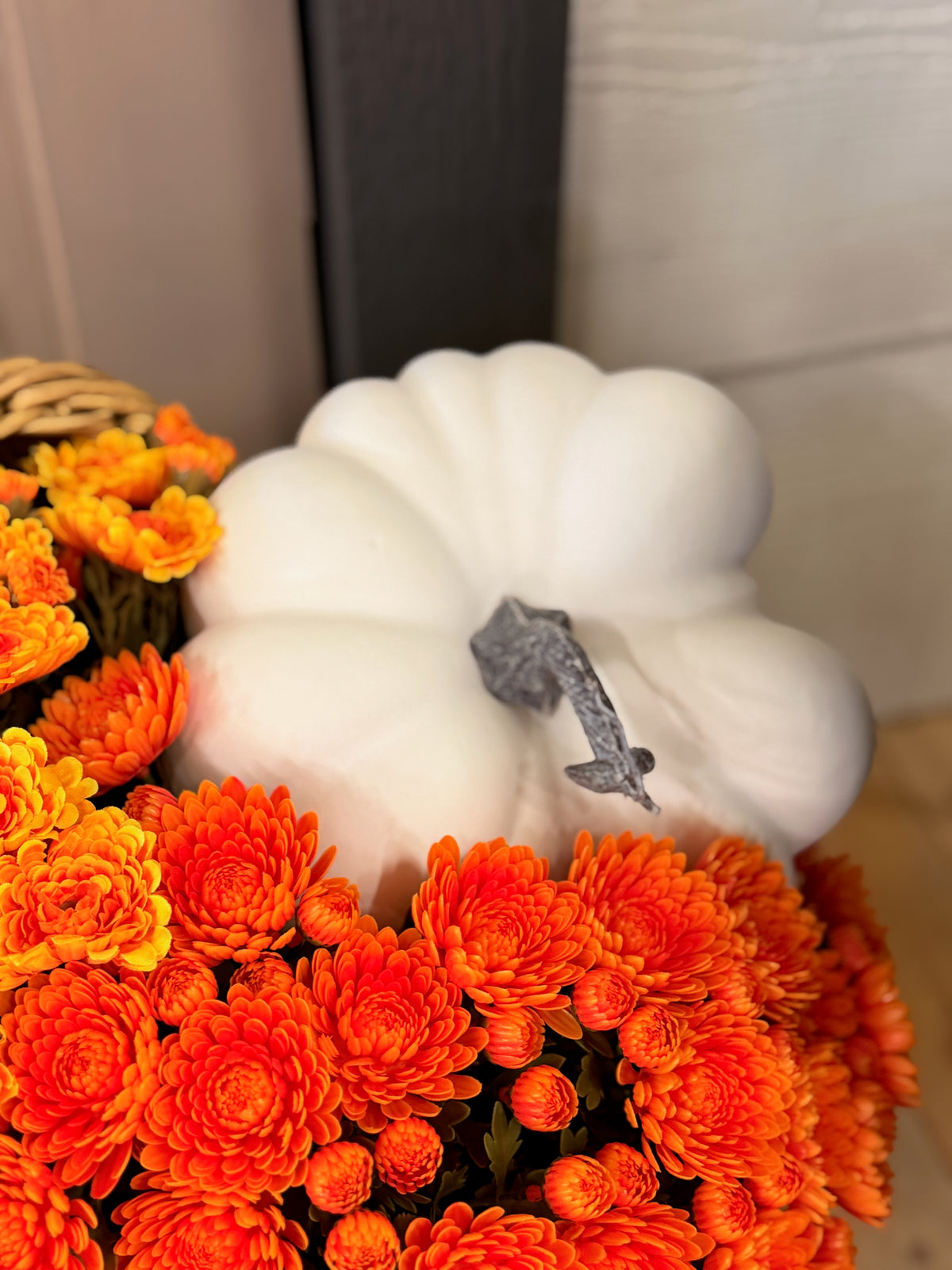 7" Cream Sonya Pumpkin