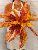 UV Protect Harvest Mix Autumn Fern Plant