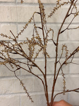 Beige Spiraea Leaf Spray