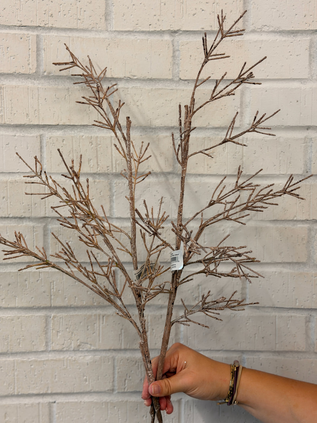 Beige Dried Twig Spray
