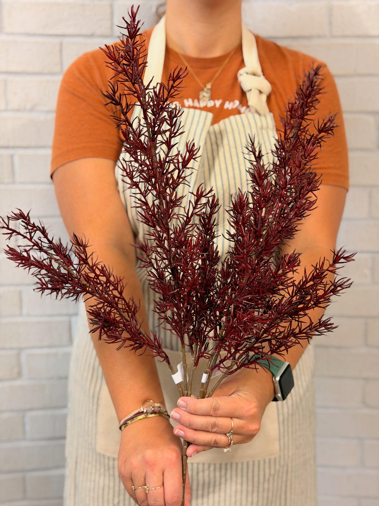 Burgundy Asparagus Fern Spray