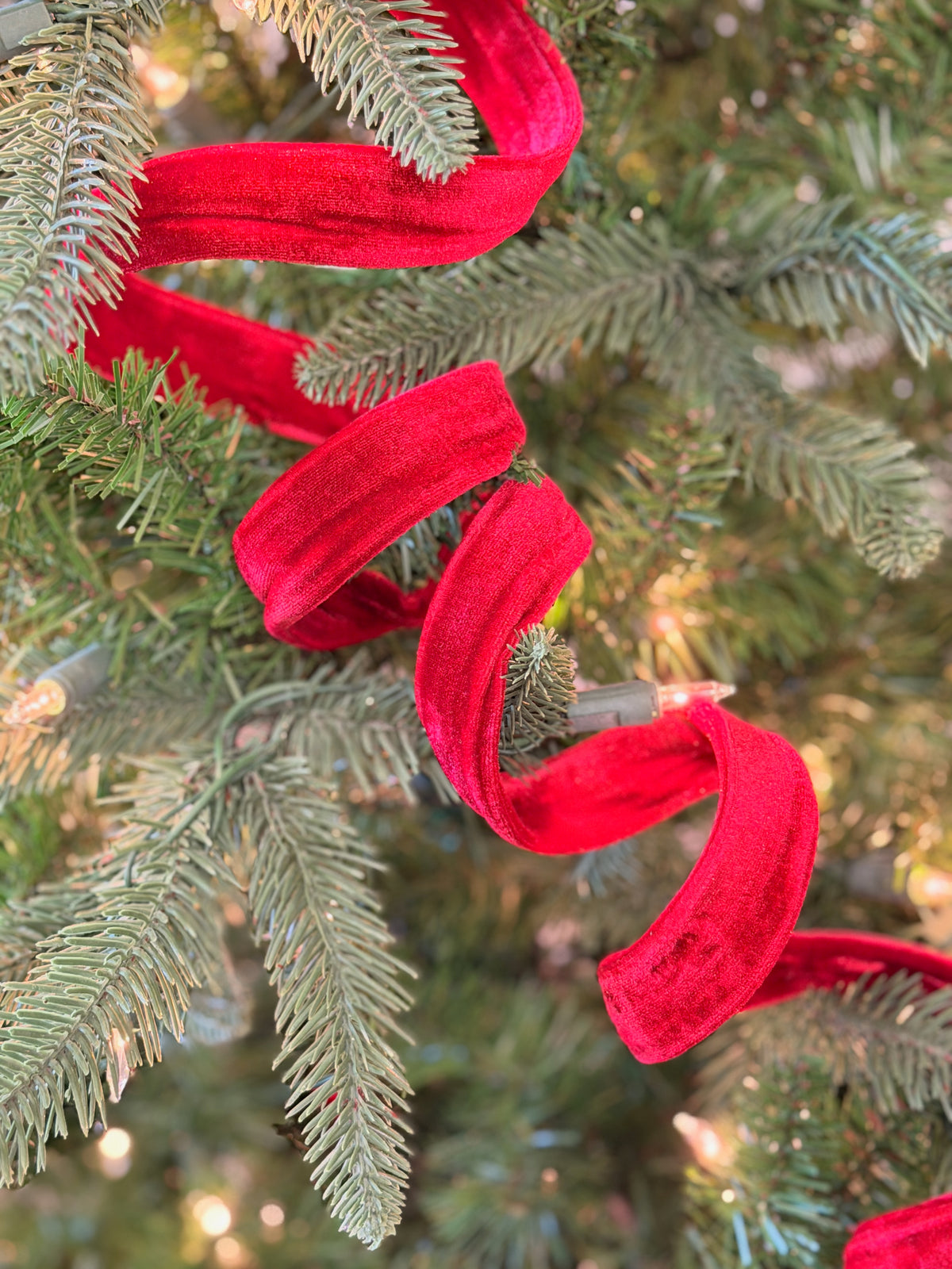 Red Velvet Coil Ribbon Garland