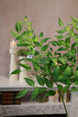 Silk green jumbo ruscus leaf spray for farmhouse transitional everyday home decor from Magnolias Home Decor