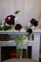 Eggplant Scabiosa Spray