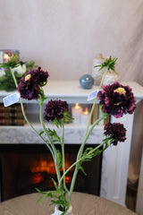 Eggplant Scabiosa Spray