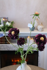 Eggplant Scabiosa Spray