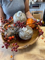 Burgundy Rosehip Berry Spray