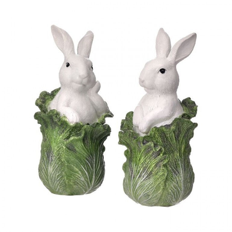 Cabbage Patch Bunny- 2 Styles