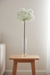 Grand Garden Allium Stem