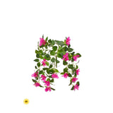 UV Protect Hanging Bougainvillea Bush
