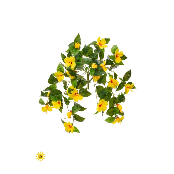 UV Protect Yellow Hanging Hibiscus Bush