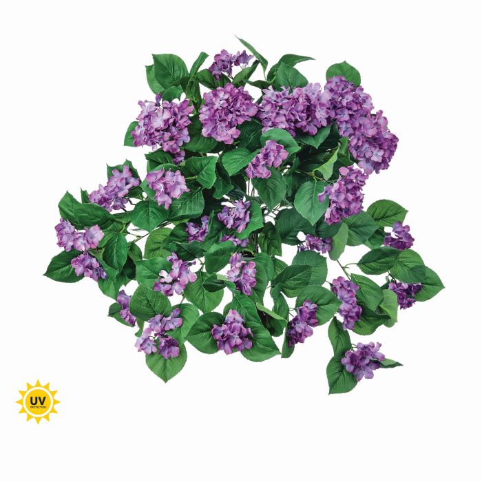 UV Protect Lavender Hydrangea Bush