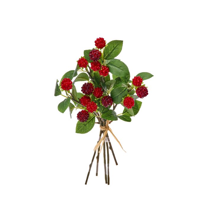 Wild Raspberry Bundle
