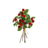 Wild Raspberry Bundle
