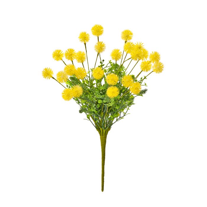 Yellow Gomphrena Bush