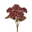 Burgundy Mini Autumn Hydrangea Bush