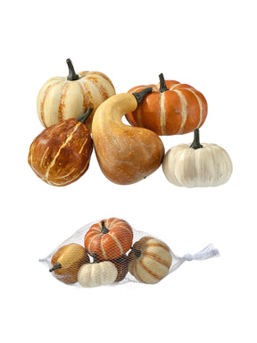 Harvest Mix Farmstand Pumpkins & Gourds, Bag of 5