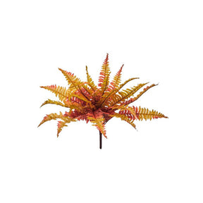 UV Protect Harvest Mix Autumn Fern Plant