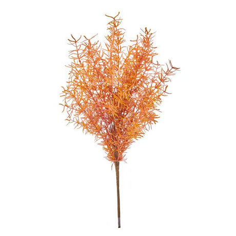 UV Protect Rust Brown Autumn Asparagus Fern Bush