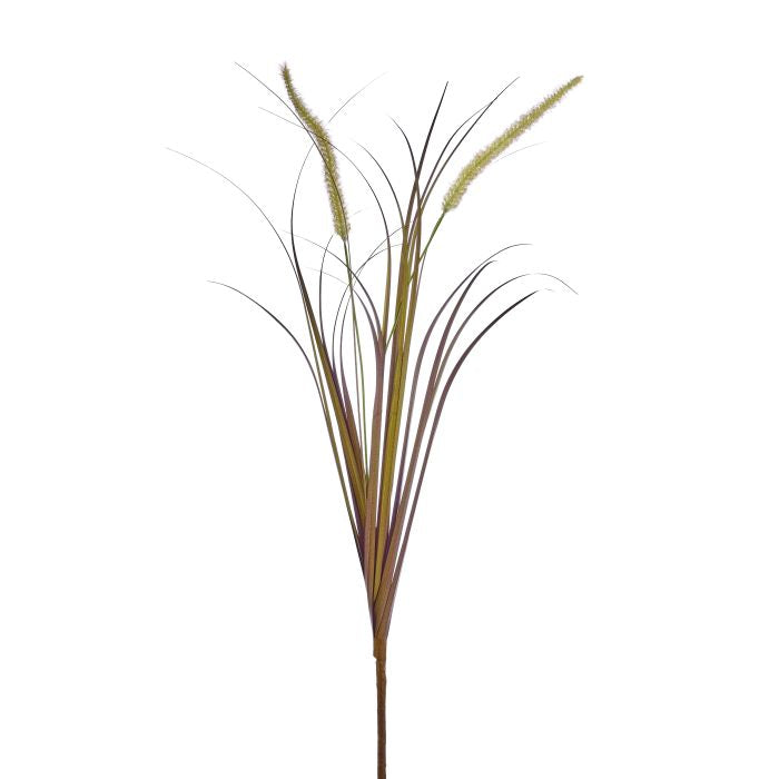 UV Protect Cream Brown Autumn Fountain Plume Grass Spray