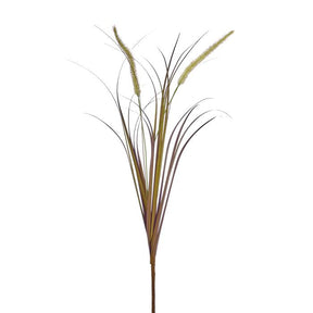 UV Protect Cream Brown Autumn Fountain Plume Grass Spray