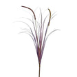 UV Protect Plum Autumn Fountain Plume Grass Spray