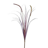 UV Protect Plum Autumn Fountain Plume Grass Spray