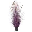 UV Protect Plum Potted Autumn Fountain Plume Grass