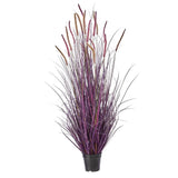 UV Protect Plum Potted Autumn Fountain Plume Grass