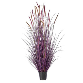 UV Protect Plum Potted Autumn Fountain Plume Grass