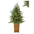 50" Potted Dual-Lit Rustic Manor Tree
