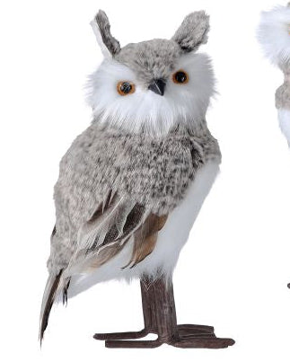 Fur Feather Forest Owl