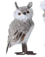 Fur Feather Forest Owl