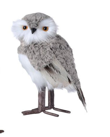 Fur Feather Forest Owl