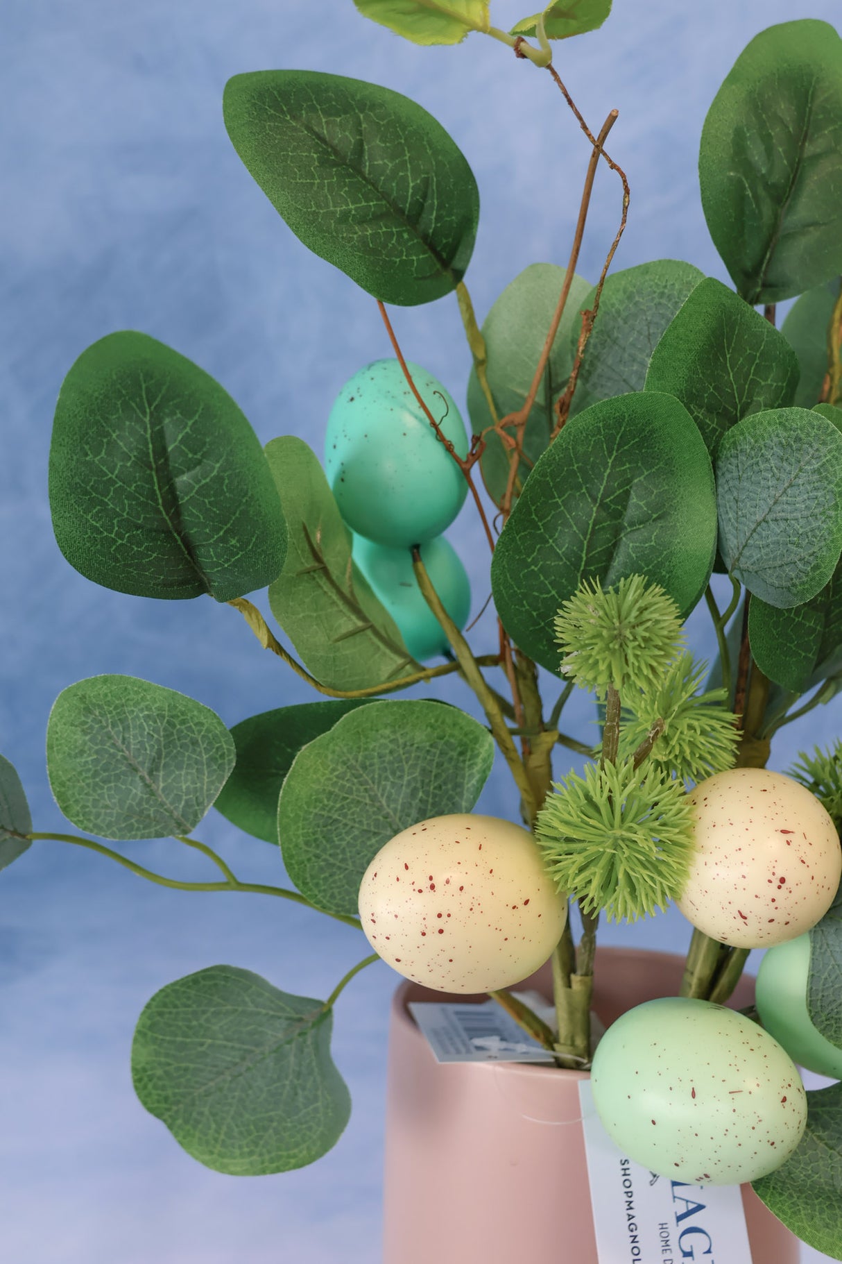 Egg & Eucalyptus Spray