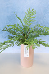 Real Touch Family Time Fern Bush