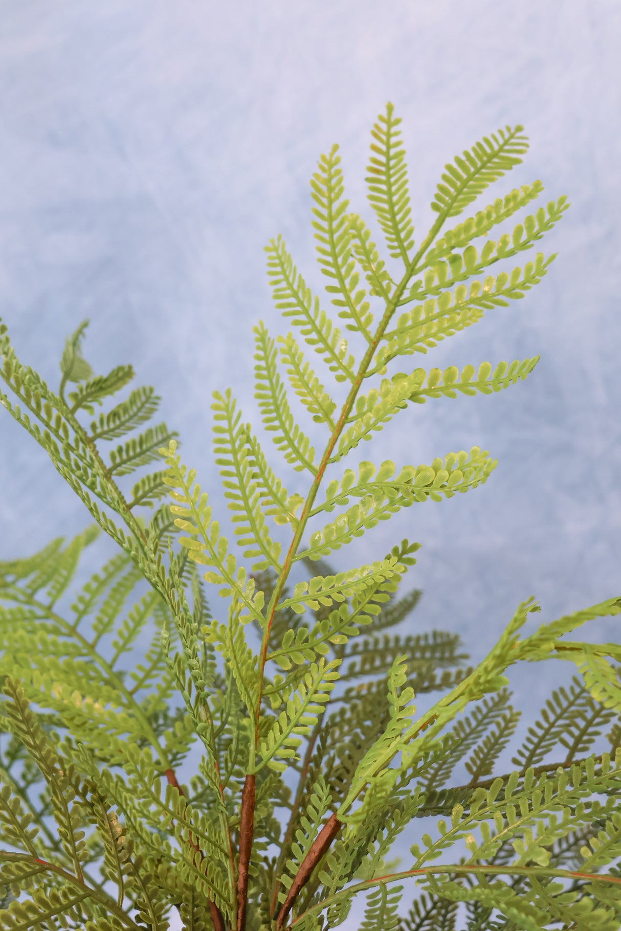 Real Touch Family Time Fern Bush