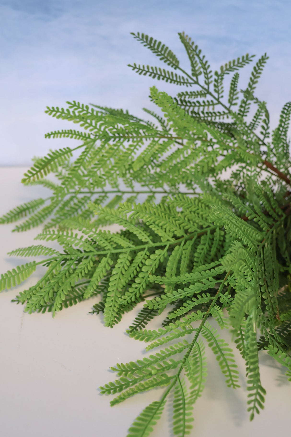 Real Touch Family Time Fern Bush