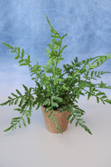 Real Touch Potted Fern Silk Plant