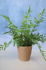 Real Touch Potted Fern Silk Plant