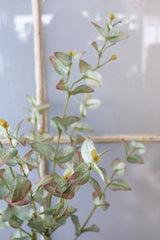 Adventures Foliage Stem