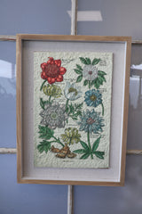 Vintage Botanical Framed Wall Art- 2 Styles