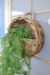 Tracey Rattan Wall Basket