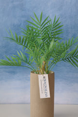 Carpe Diem Mini Palm Bush